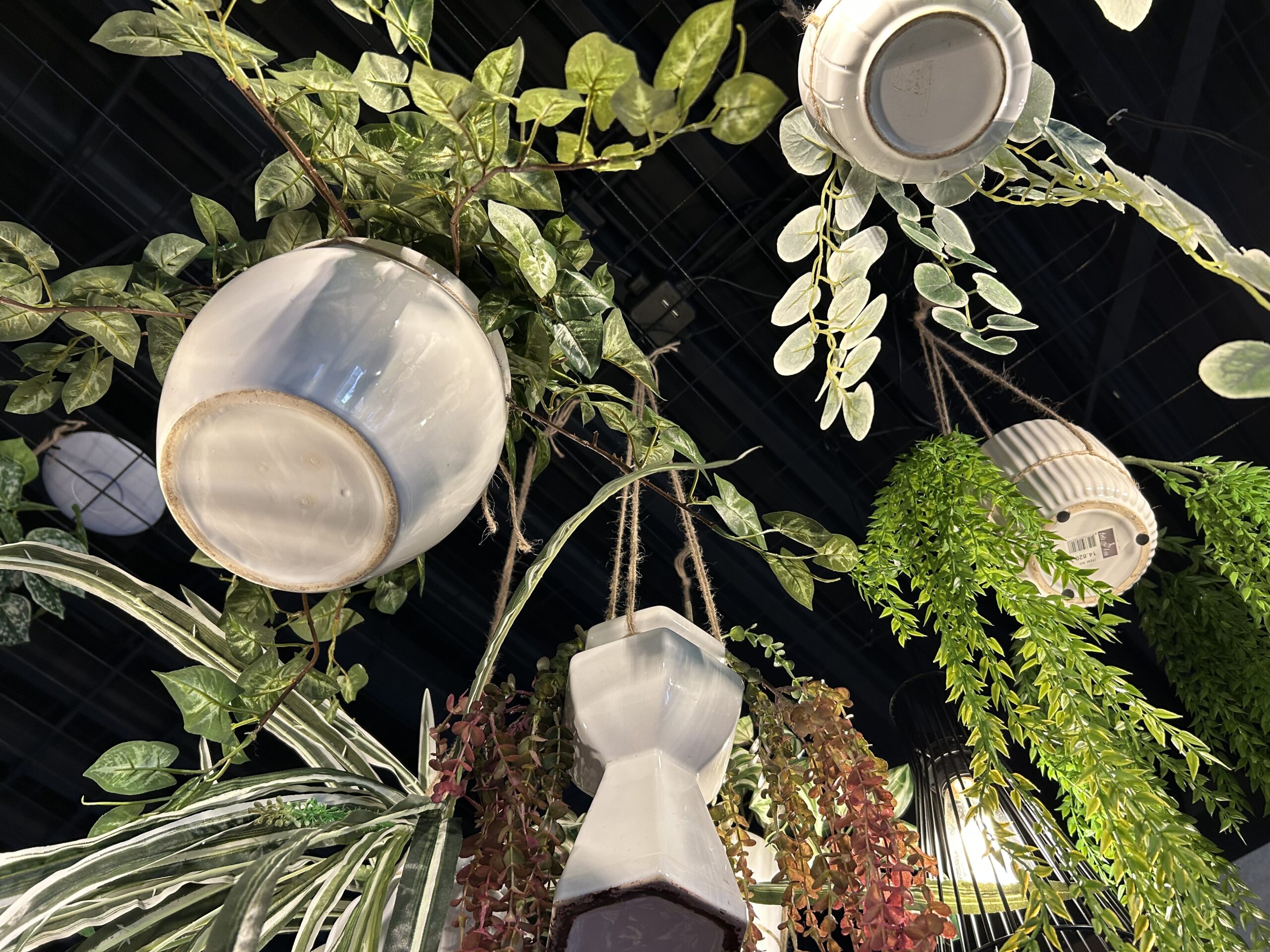 planten in pot