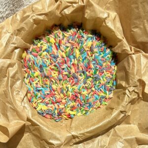 Speelrijst Regenboog